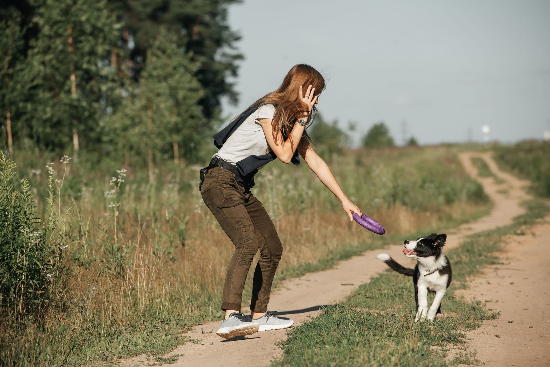 Ile kosztuje uśpienie i kremacja psa?